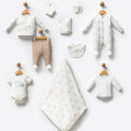 Bear Hospital Set