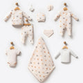 Rabbit Hospital Set
